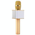 SDRD SD-08 Doppi altoparlanti Alta qualità del suono KTV portatile Registrazione karaoke Microfono a condensatore wireless Bluetooth (oro)