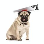 2 pezzi Creativo Gatto cane Halloween Divertente Tidy Props Cappello con cappuccio con fascia, Taglia: M (Sega)