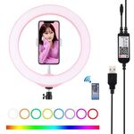 PULUZ 10,2 pollici 26 cm USB RGBW dimmerabile LED Anello Vlog Fotografia Luci video con testa a sfera treppiede, telecomando e morsetto per telefono (rosa)