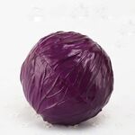 PU simulazione di verdure Cavolo Modello Finestra Fotografia display puntelli arredamenti per alberghi decorazione domestica