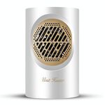 BG-360 Mini radiatore da tavolo per uso domestico riscaldatore elettrico riscaldatore ad aria calda (bianco)