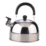 Bollitore in acciaio inossidabile non magnetico in acciaio inox Bollitore Bollitore Bollitore Bollitore, Colore: 2,5L Colore naturale