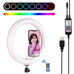 PULUZ 10,2 pollici 26 cm superficie curva USB RGBW dimmerabile LED anello vlogging fotografia luci video con testa a sfera treppiede e telecomando e morsetto per telefono (rosa)