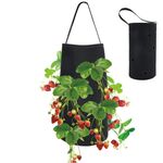 Feltro appeso Strawberry Naked Root Plant Piantatura non tessuta Piantatura, Dimensioni: 50 x 30 x 25 cm (nero)