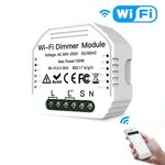 Interruttore dimmer Smart Switch WiFi nascosto e interruttore tradizionale Dual Control Smart Switch
