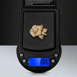 Bilancia tascabile di precisione Bilancia da palmo in oro argento Bilancia da tasca, specifica: 200 g / 0,01 g, Stile: senza batteria