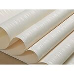 Moderno Minimalista Camera da letto Soggiorno Autoadesivo Carta da parati non tessuta Adesivo, Specifica: 0,53 x 3 metri (7061 beige)