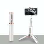 Stick Selfie Bluetooth con Treppiede Multi-funzione Gimbal Mobile Phone Fill Light Live Support (Bianco Gold)
