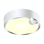 YQ-1142 Lampada da soffitto a induzione del corpo umano YQ-1142 Biblioteca per auto del corridoio (luce calda)