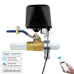 Controllo dell'irrigazione del giardino WIFI Smart Water Gas Valve Switch