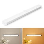 Lampada a induzione a forma di corpo umano a LED Striscia di ricarica lampada da ricarica, dimensioni: 21 cm (argento e luce calda)