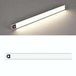 Lampada a LED wireless induzione automatica intelligente del corpo umano 60cm (argento + luce neutra)
