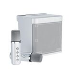 YS-203 Bluetooth Karaoke Altoparlante Microfono wireless (Argento)