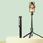 P81 Bastone per selfie Bluetooth integrato da 1,7 m con specchio per il trucco telecomandato TIKTOK