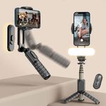 Stabilizzatore portatile del telefono di riempimento rimovibile con app (Q09 nera)