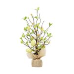 Albero decorativo dell'uovo variopinto delle luci del LED di Pasqua (2)