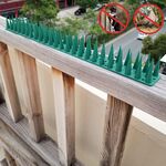 12 PCS Repellente per uccelli in plastica Fence Fence Anti-Climb Nails (verde)