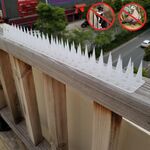 12 PCS Repellente per uccelli in plastica Fence unghie anti-climb (trasparenti)