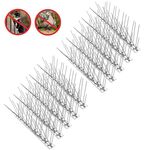 10 set Dispositivo per uccelli antica-cat di spine per uccelli in acciaio inossidabile lungo 25 cm