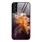 Per Samsung Galaxy S22 + 5G Custodia protettiva in vetro con motivo marmorizzato (tifone)