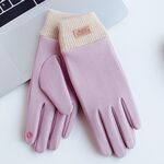 Guanti caldi per touch screen da ciclismo invernale WST-03 (viola)