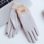 Guanti caldi per touch screen da ciclismo invernale WST-03 (grigio)