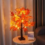 SJ-SD068 LED Acero Decorazione per la casa Luce Albero di Natale illuminato, Stile: Base staccabile + Temporizzazione