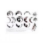 5 PCS Vintage Botanical Arrangement Handbook Timbro in silicone trasparente (fase lunare)