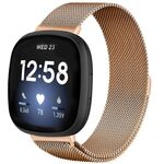 Per Fitbit Versa 4 / Versa 3 20mm Milanese cinturino magnetico con fibbia in metallo diviso (oro rosa)