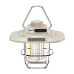 LY02 LED Lanterna retrò Lampada da tenda a mano Ricarica USB Luce da campeggio (bianca)