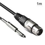 Cavo audio da 6,35 mm Caron femmina a XLR bilanciato a 2 pin Linea mixer cavo audio, dimensioni: 1 m