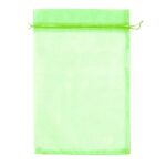 100pcs sacchetto di protezione della frutta sacchetto di rete anti-insetto e anti-uccello 10 x 12 cm (verde)