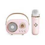 Altoparlante Bluetooth Karaoke multifunzionale C20 Plus con microfono (rosa)