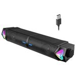 L1 Altoparlante wireless Bluetooth USB portatile da esterno con luce RGB con microfono (nero)