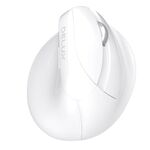 DELUX M618 Mini 2.4G Wireless 2400 DPI USB ricaricabile ergonomico mouse verticale (bianco)