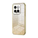 Per Xiaomi 14 Custodia per telefono elettrolitico in polvere glitter sfumata (oro)