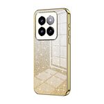 Per Xiaomi 14 Pro Custodia per telefono elettrolitico in polvere glitter sfumata (oro)