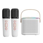 Altoparlante Bluetooth portatile per la casa Piccolo audio karaoke da esterno, Colore: Y1 Bianco (doppio grano)