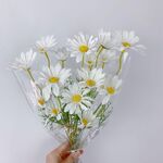 Composizione floreale simulata, ornamento da tavolo, oggetti di scena per foto da picnic, stile: sacchetto trasparente con margherite bianche da 5 pezzi