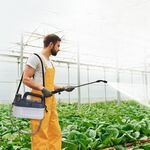 Batteria ricaricabile incorporata da 2000 mAh per atomizzatore agricolo con spruzzatore elettrico da 4 litri