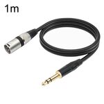 TC145BK55 Cavo per microfono maschio da 6,35 mm 1/4 TRS a XLR maschio a 3 pin, lunghezza: 1 m (nero)