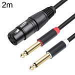 Cavo audio tipo Y da XLR femmina a doppio TRS maschio da 6,35 mm 1/4 2020Y63, lunghezza: 2 m (nero)