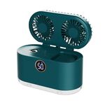 WT-818 Raffreddatore per umidificazione con luce notturna con display digitale intelligente a spruzzo a doppia foglia (verde)