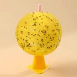 Palla appiccicosa per attirare insetti da interno con nucleo, 8 cm