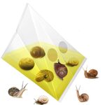 Trappola per lumache da giardino di plastica trasparente 20 pezzi TBD06050112 6922917521739Trappola per lumache da giardino di plastica trasparente 20 pezzi TBD06050112 6922917521739