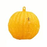 Palla appiccicosa trappola per agrumi zanzara mosca della frutta all'aperto