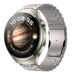 For Huawei Watch 4 / 4 Pro 22mm Double Lock Buckle Turtle Titanium Steel Watch Band(Titanium)