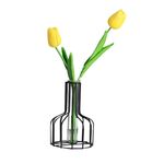 Decorazione con inserti di fiori in vetro con fiori secchi verdi idroponici in ferro battuto senza fiori finti (neri)