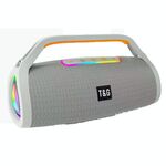 T&G TG417 40W Altoparlante Bluetooth wireless portatile con doppio microfono per esterni (grigio)