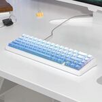 Tastiera meccanica AULA F65 67 tasti 2.4G / BT / cablata a tre modelli RGB Gaske (asse sfumato blu-viola)
